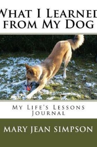 Cover of What I Learned from My Dog