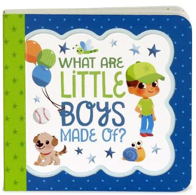 Book cover for What Are Little Boys Made of