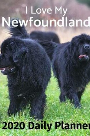 Cover of I Love My Newfoundland