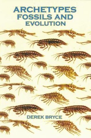 Cover of Archetypes Fossils and Evolution