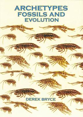 Book cover for Archetypes Fossils and Evolution