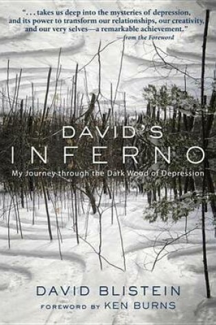 Cover of David's Inferno