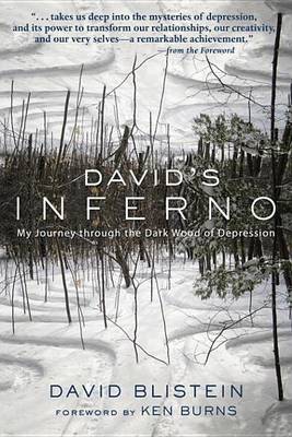 Book cover for David's Inferno