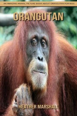 Cover of Orangutan