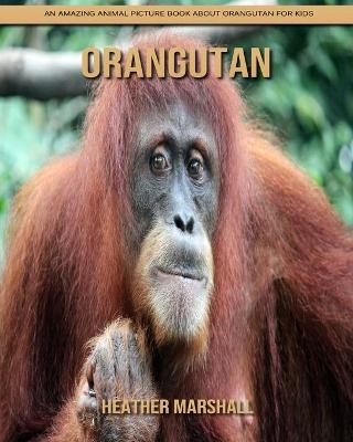 Cover of Orangutan