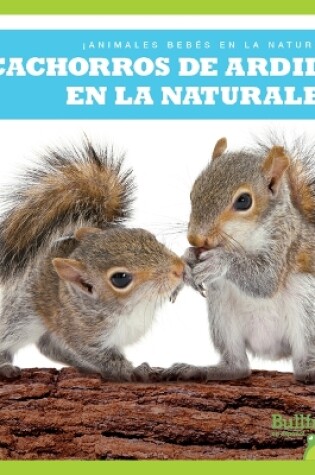 Cover of Cachorros de Ardilla En La Naturaleza (Squirrel Kits in the Wild)