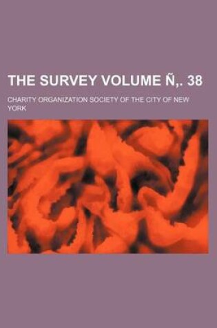 Cover of The Survey Volume N . 38