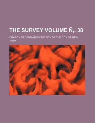 Book cover for The Survey Volume N . 38