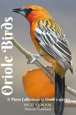 Cover of Oriole Birds Picture Book A Photo Collections of Oriole's species