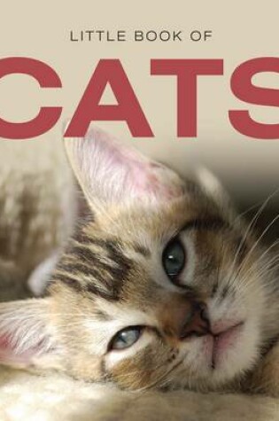 Cover of Little Book of Cats