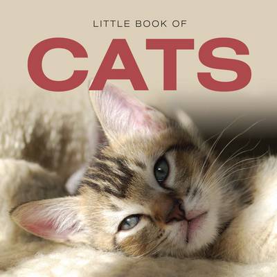 Book cover for Little Book of Cats