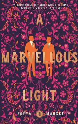 Book cover for A Marvellous Light
