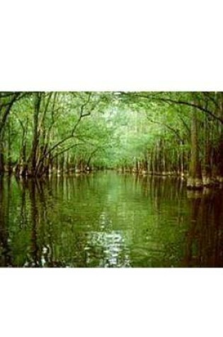 Cover of Congaree Swamp, South Carolina