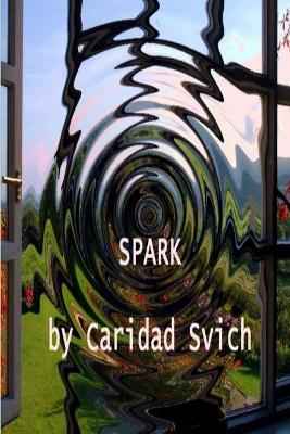 Book cover for Spark