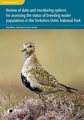 Book cover for Review of data and monitoring options for assessing the status of breeding wader populations in the Yorkshire Dales National Park