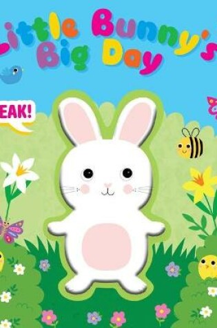 Cover of Little Bunny's Big Day