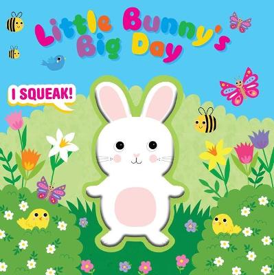 Cover of Little Bunny's Big Day