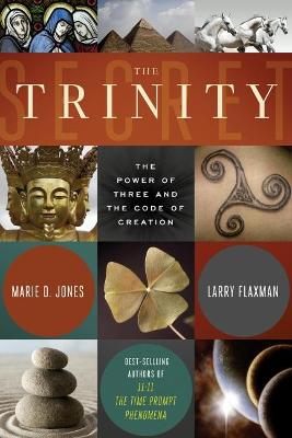 Book cover for The Trinity Secret