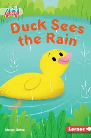 Cover of Duck Sees the Rain