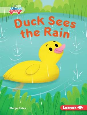 Book cover for Duck Sees the Rain