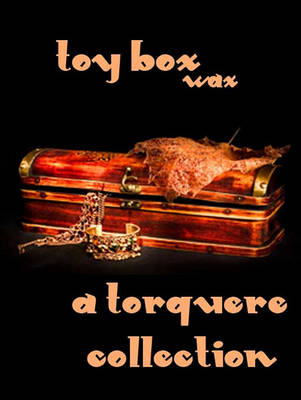 Book cover for Toy Box