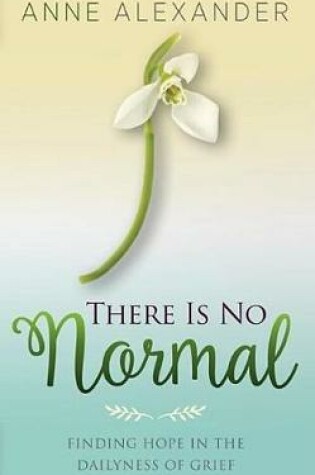 Cover of There Is No Normal