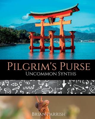 Book cover for Pilgrim's Purse