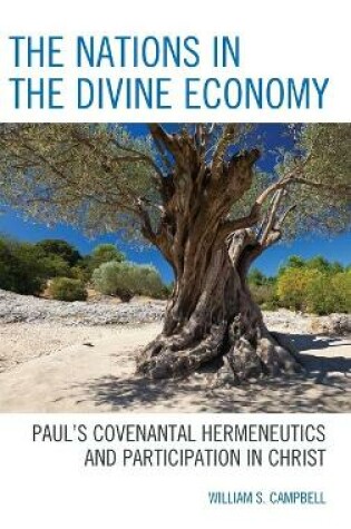 Cover of The Nations in the Divine Economy