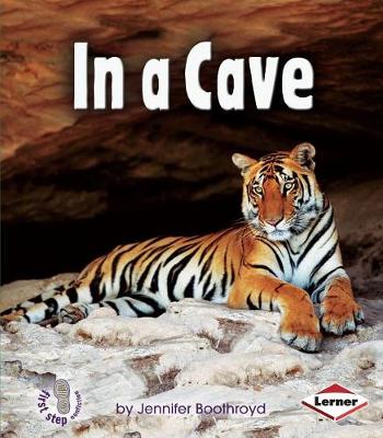Book cover for In a Cave