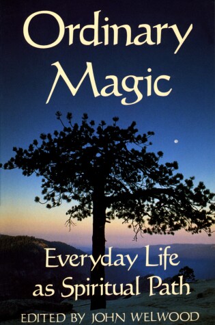 Cover of Ordinary Magic