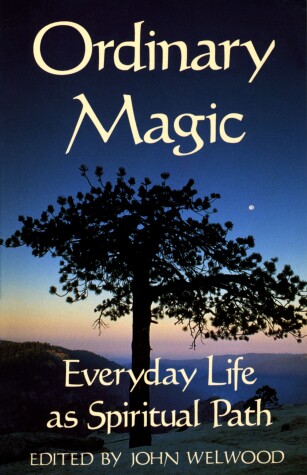Book cover for Ordinary Magic