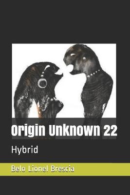 Cover of Origin Unknown 22