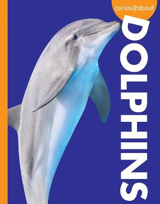 Book cover for Curious about Dolphins