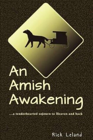 Cover of An Amish Awakening