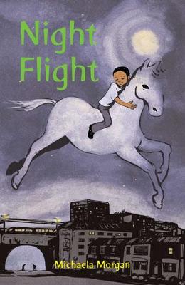 Book cover for Night Flight