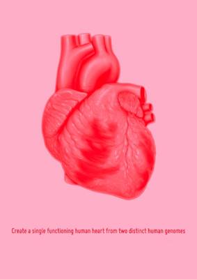 Book cover for Create a Single Functioning Human Heart from Two Distinct Human Genomes