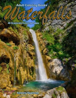 Book cover for Adult Coloring Books Waterfalls 48 Grayscale Coloring Pages