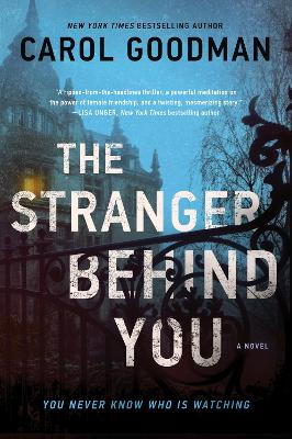 Book cover for The Stranger Behind You