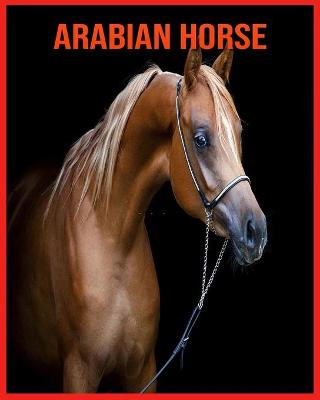 Book cover for Arabian Horse