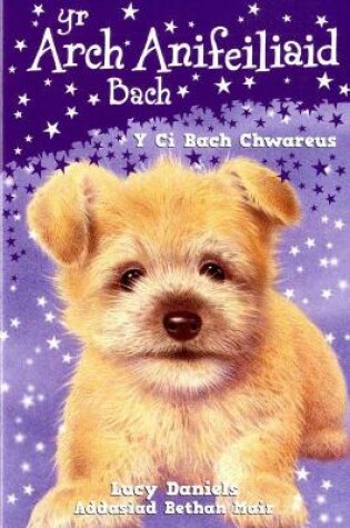 Cover of Cyfres yr Arch Anifeiliaid Bach: Y Ci Bach Chwareus