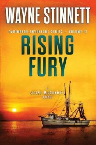 Cover of Rising Fury