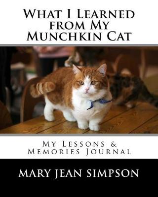 Book cover for What I Learned from My Munchkin Cat