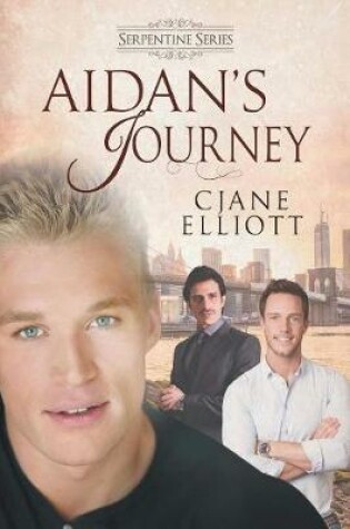 Cover of Aidan's Journey