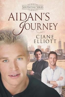 Book cover for Aidan's Journey