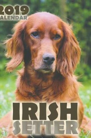 Cover of Irish Setter 2019 Calendar (UK Edition)