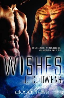 Book cover for Wishes