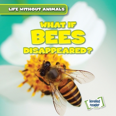 Book cover for What If Bees Disappeared?