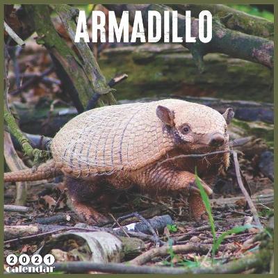 Book cover for Armadillo 2021 Calendar