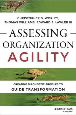 Cover of Assessing Organization Agility