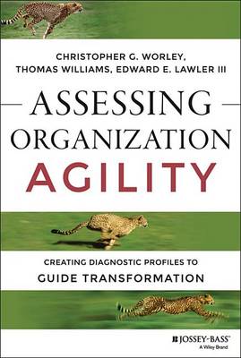 Cover of Assessing Organization Agility
